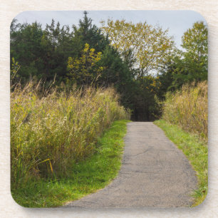 Runge Walkway Coaster