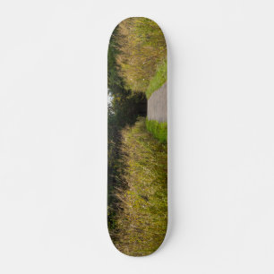 Runge Walkway Skateboard