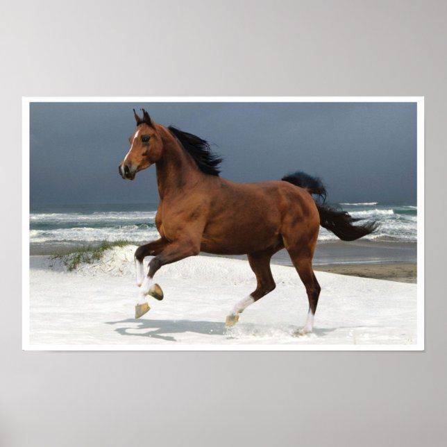Runing Horse at the Beach Art Print Poster (Front)