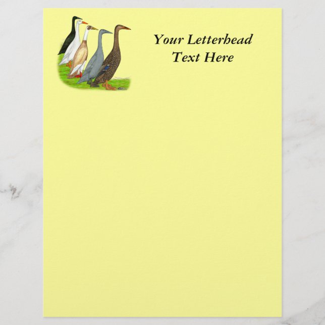 Runner Duck Assortment (Front)