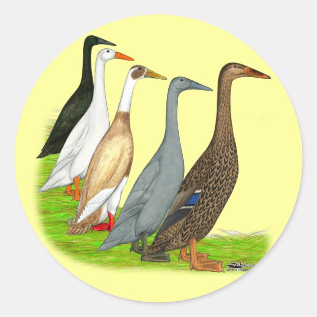 Runner Duck Assortment Classic Round Sticker (Front)