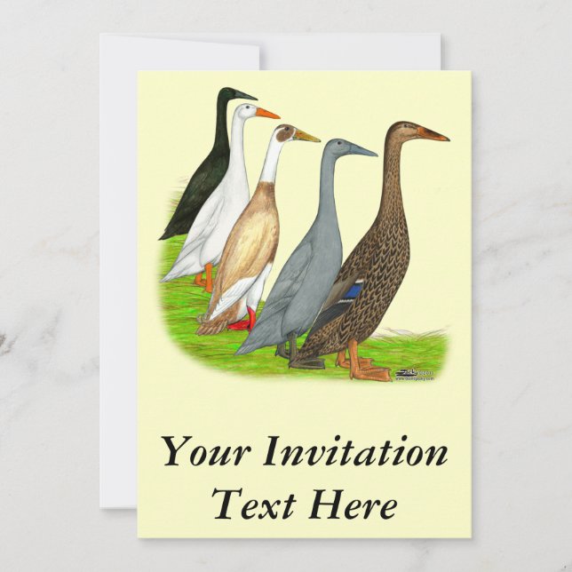 Runner Duck Assortment Invitation (Front)