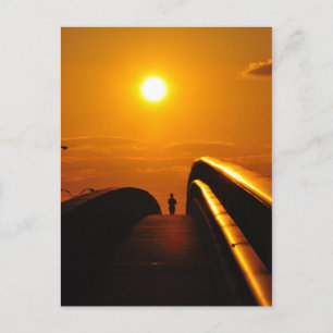 Runner Sunset Delight Bridge Daytona Postcard