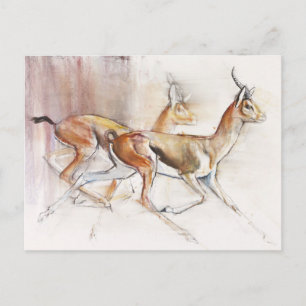 Running Arabian Gazelles 2010 Postcard