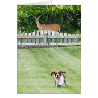 Running Basset & Deer Neighbour On Blank Card