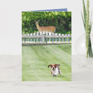 Running Basset & Deer On Cute Birthday Card