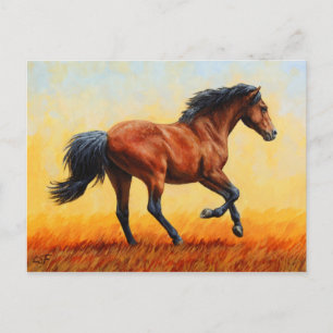 Running Bay Horse Wild Mustang Postcard