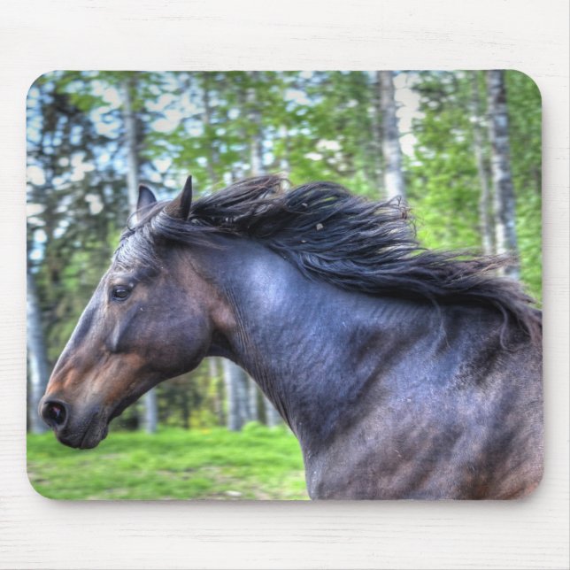 Running Black Thoroughbred Percheron Horse Photo Mouse Mat (Front)