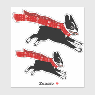 Running Boston Terrier with Winter Scarf Cute Dog