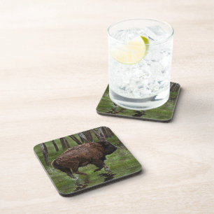 Running Buffalo & Forest, Bison-lover's Design Coaster