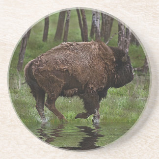 Running Buffalo & Forest, Bison-lover's Design Coaster