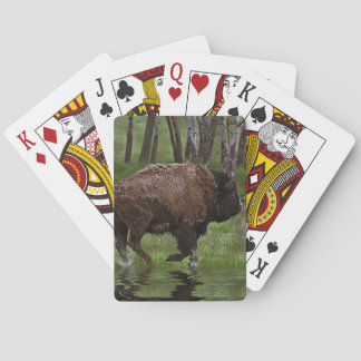 Running Buffalo & Forest, Bison-lover's Design Playing Cards