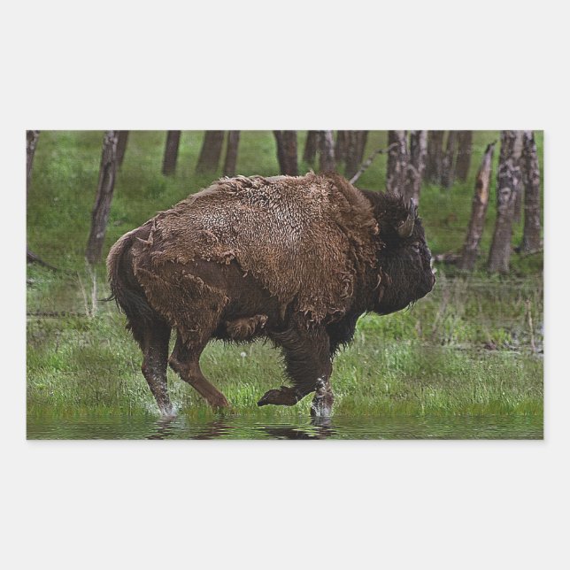 Running Buffalo & Forest, Bison-lover's Design Rectangular Sticker (Front)