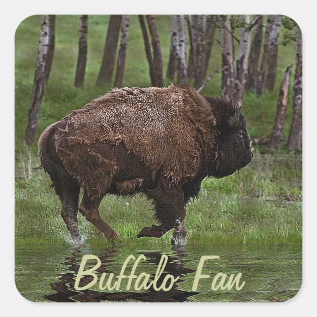 Running Buffalo & Forest, Bison-lover's Design Square Sticker (Front)