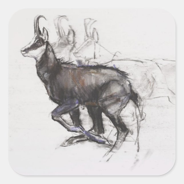 Running Chamois Square Sticker (Front)