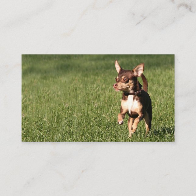 Running chihuahua business or profile card (Front)