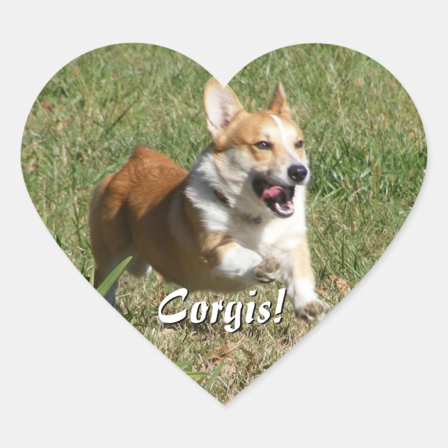 Running Corgi Stickers (Front)