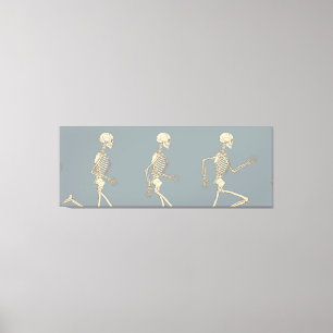 Running Cycle of Human Skeleton Canvas Print