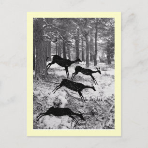 Running Deer Postcard