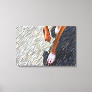Running dog canvas print
