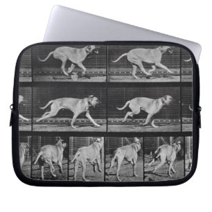 Running Dog, plate 707 from 'Animal Locomotion', 1 Laptop Sleeve