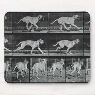 Running Dog, plate 707 from 'Animal Locomotion', 1 Mouse Mat