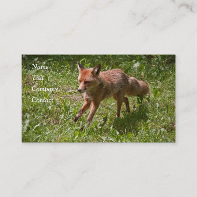 Running fox business card (Front)