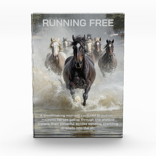 Running Free  Photo Block (Front)