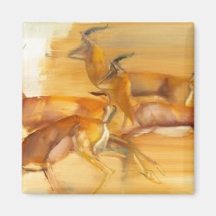 Running Gazelles 2010 Magnet
