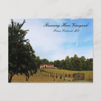 Running Hare Vineyard Postcard