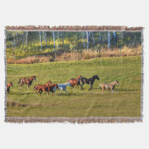 Running Herd of Horses on a BC Ranch Photo 4 Throw Blanket