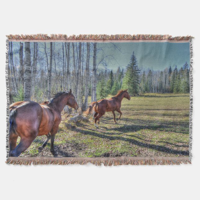 Running Herd of Horses Photo on a BC Ranch 3 Throw Blanket (Front)
