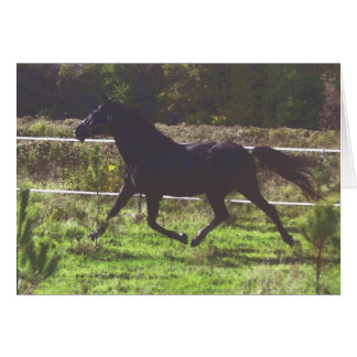Running Horse Card