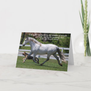 RUNNING HORSE & DOG GREETING CARD