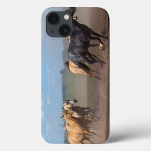 Running Horse Herd iPhone 13 Case
