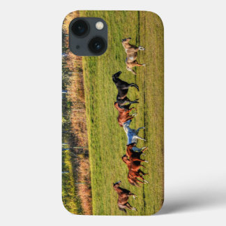 Running Horse Herd & Ranch Pasture Equine Photo iPhone 13 Case