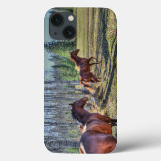 Running Horse Herd & Ranch Pasture Equine Photo iPhone 13 Case