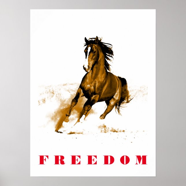Running Horse Motivational Artwork Poster (Front)