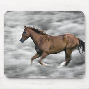 Running horse mouse mat
