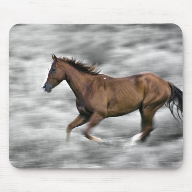 Running horse mouse mat (Front)
