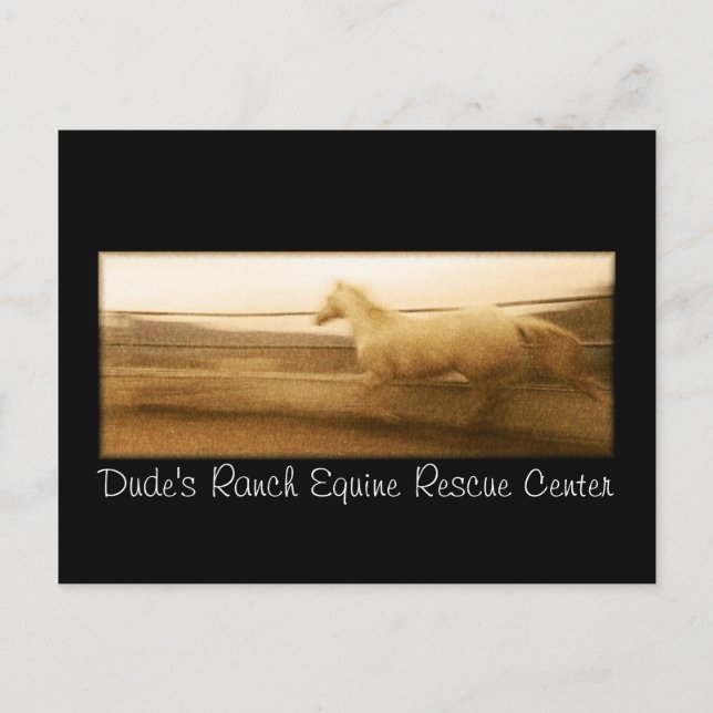 Running horse post card (Front)