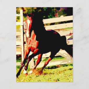 Running Horse Postcard