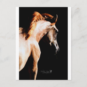 Running horse postcard