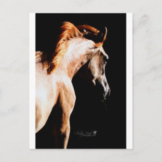 Running horse postcard