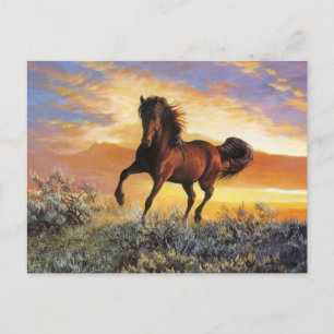 Running Horse Postcard