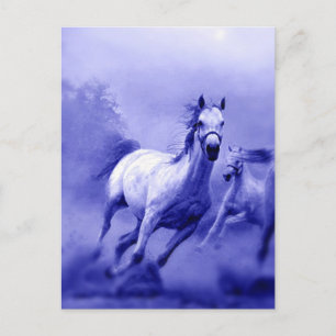 Running Horse Postcard