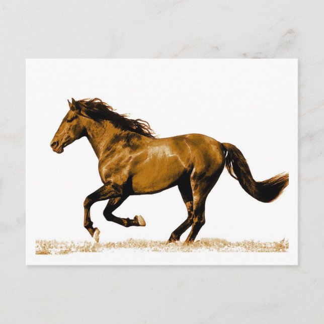 Running Horse Postcard (Front)