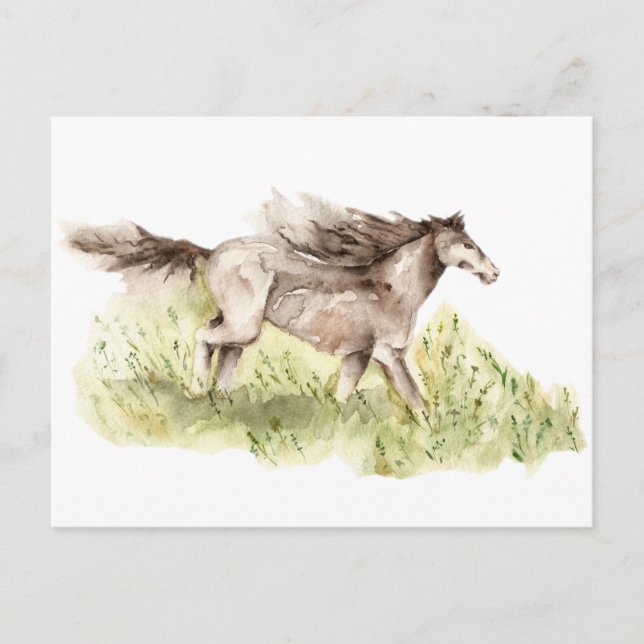Running Horse Postcard (Front)