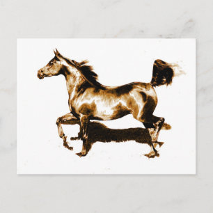 Running Horse Postcard