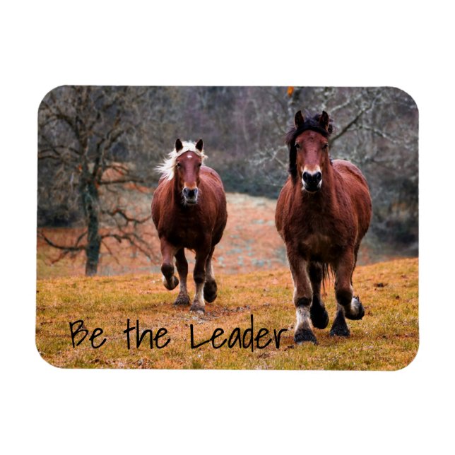 Running Horses Be The Leader Magnet (Horizontal)